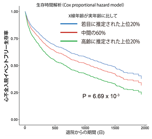 X線年齢と心不全の予後との関連の図