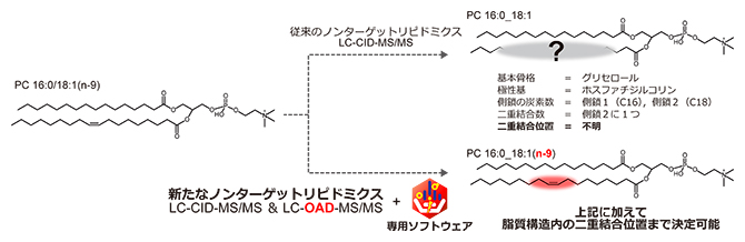 新たなフラグメンテーション法（OAD）と情報科学によって脂質の二重結合位置を特定の図