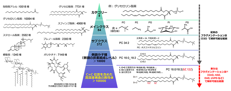 脂質の構造多様性とそれらを捉える質量分析法の図