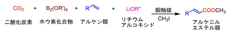 銅触媒を用いたアルケニルC-H結合のカルボキシル化反応の図
