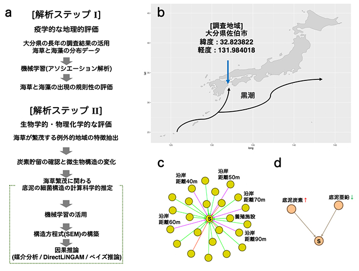 本研究の対象地域と研究手順の図