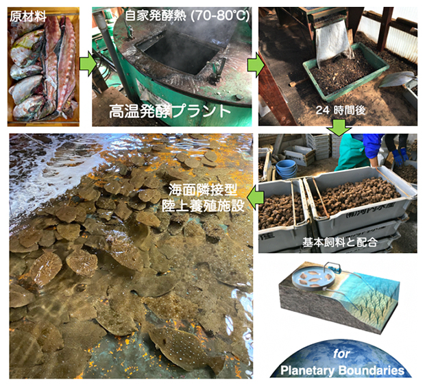 海草繁茂に関わる養殖施設に取り入れられている循環型・環境保全型養殖技術の概念図の画像