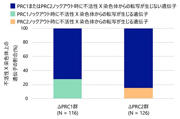 PRC1またはPRC2の欠失により不活性X染色体から転写される遺伝子の割合の図