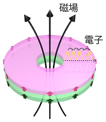 磁性トポロジカル絶縁体表面で生じるラフリン電荷ポンプの概念図の画像
