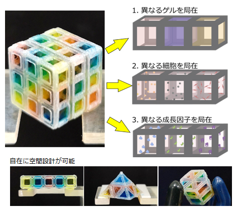 MultiCUBEによる細胞外周囲環境の設計・制御の図