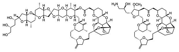 天然物ハリコンドリンB(左)と抗がん剤エリブリン(右)の化学構造の図