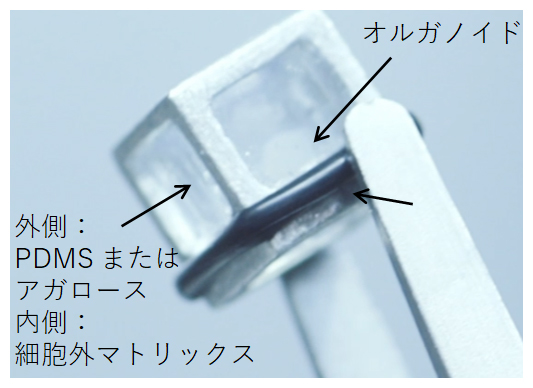 CUBE型培養器の全体像の図