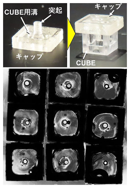 CUBE内でのオルガノドの位置制御の図