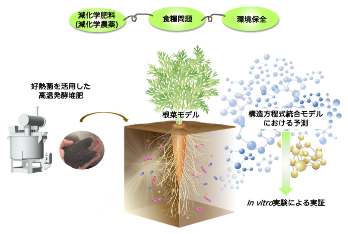 本研究の概要図