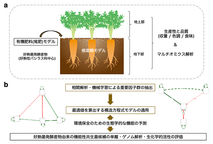 研究方法の図