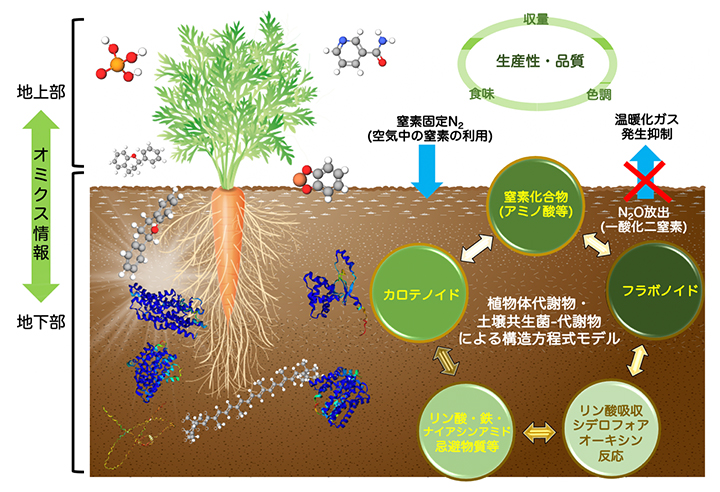 本研究成果の図