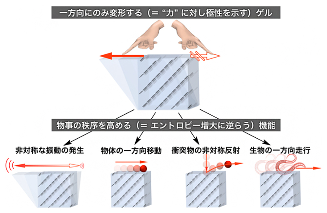 一方向にのみ変形する材料は、物事の秩序を高めるさまざまな機能を発揮するの図