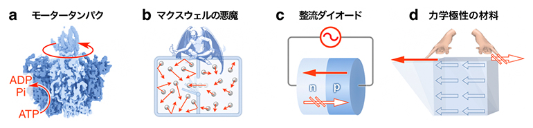 エントロピー増大に逆らう機構の例の図