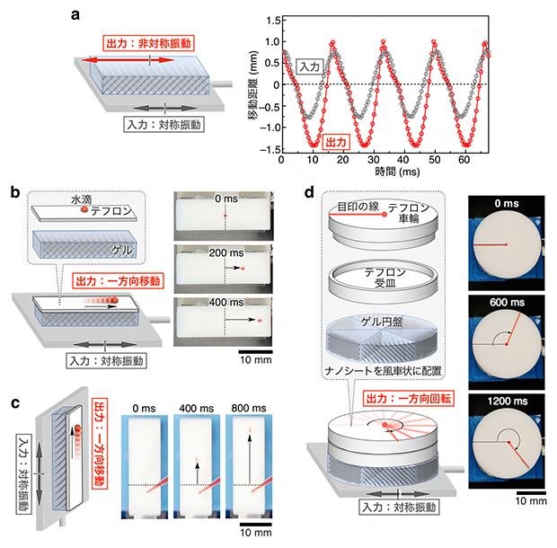 力学極性ゲルによる非対称振動の発生と、一方向運動への応用の図