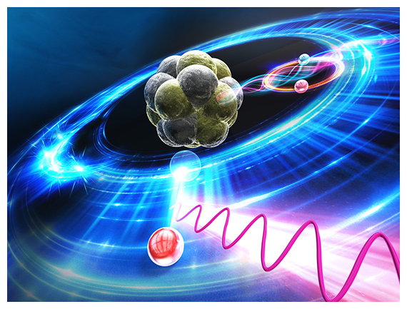 ミュオンNe原子と量子電磁力学的効果を示す概念図の画像