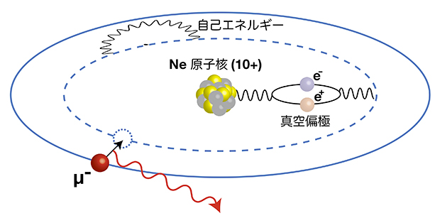 ミュオン原子と量子電磁力学（QED）効果を示す概念図の画像