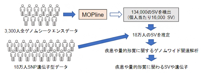 構造多型（SV）を用いて疾患や量的形質に関わるSVや遺伝子を究明の図