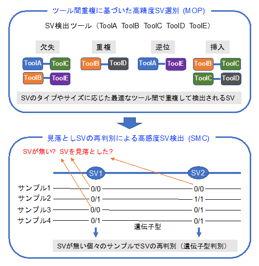 今回開発した「MOPline」のアルゴリズムの図