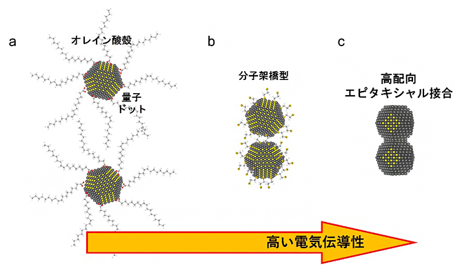 さまざまなコロイド量子ドット(CQD)の接合と電気伝導性(導電性)の模式図の画像