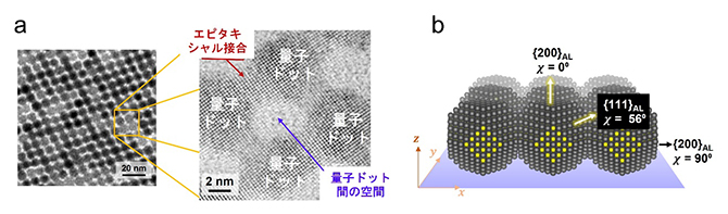 本研究で作製したCQDの超格子構造の図