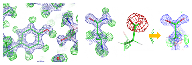 タンパク質中のアミノ酸の詳細構造（緑の網目は水素原子、赤の網目は負電荷に対応）の図