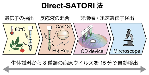 本研究手法の概要図の画像