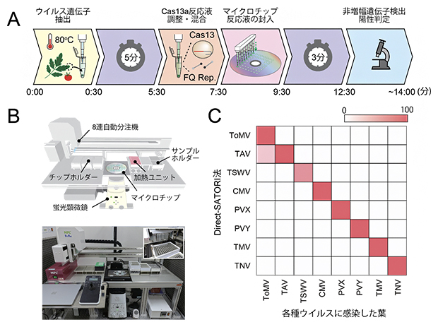 Direct-SATORI法によるトマトウイルス病の多項目・迅速遺伝子検査の図