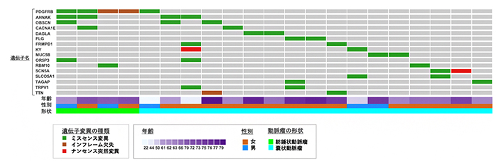 脳動脈瘤に特異的な体細胞遺伝子変異が高頻度で見られた16個の遺伝子とその症例の図