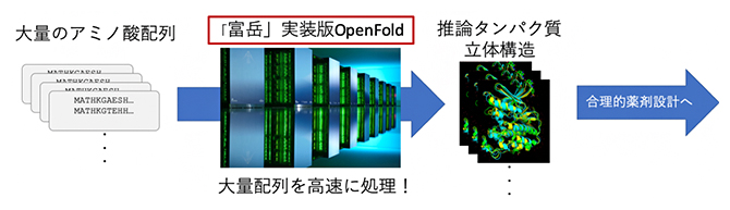 「富岳」に実装されたタンパク質立体構造推論ソフトウエア「OpenFold」の概要図