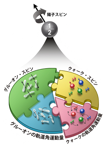 陽子のスピンの起源の図