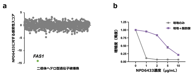 化学遺伝学プロファイリングによるNPD6433の標的予測の図