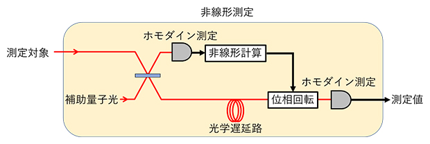 提案された非線形測定のセットアップの図