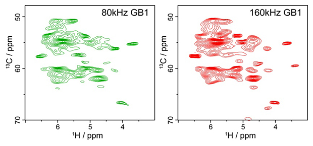 モデルタンパク質GB1試料の固体NMR測定結果の図