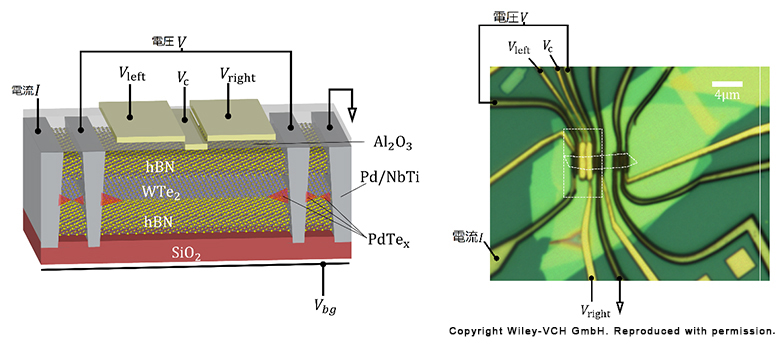 単層二テルル化タングステン（WTe2）から成るジョセフソン接合デバイスの図