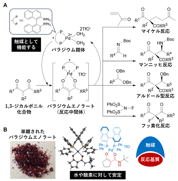 パラジウム錯体を触媒とした不斉反応とパラジウムエノラート