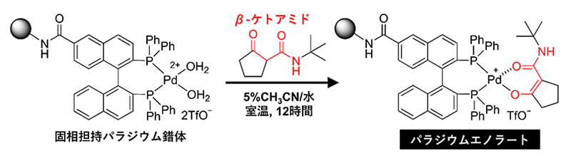 固相担持パラジウム錯体とβ-ケトアミドからのパラジウムエノラートの生成の図