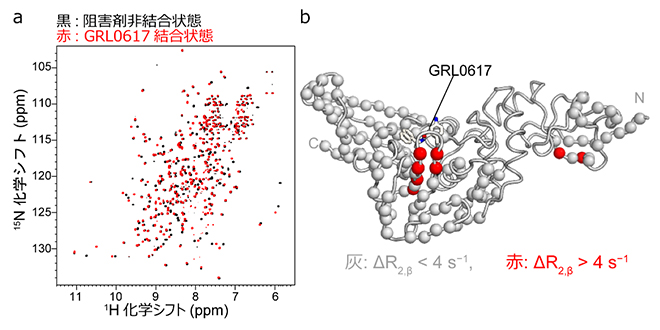 NMR法によるパパイン様プロテアーゼとGRL0617の結合の検出の図