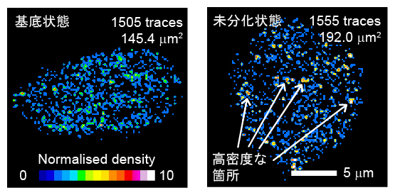 Nanogと標的遺伝子座の結合頻度解析の図