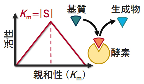 研究概要図