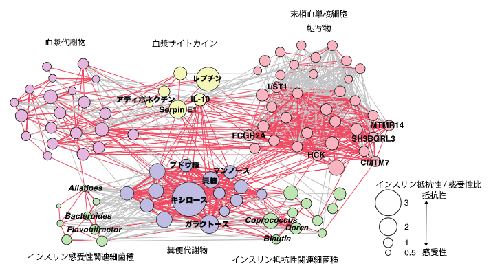 糞便中の単糖類は腸内細菌と炎症関連マーカーをつなぐネットワークハブの図