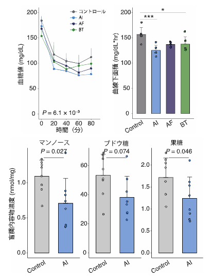 Alistipes indistinctusによる血糖改善効果の図