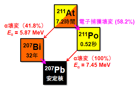 アスタチン-211(<sup>211</sup>At)の放射壊変の図