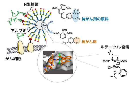 ルテニウム-塩素による抗がん剤合成の図