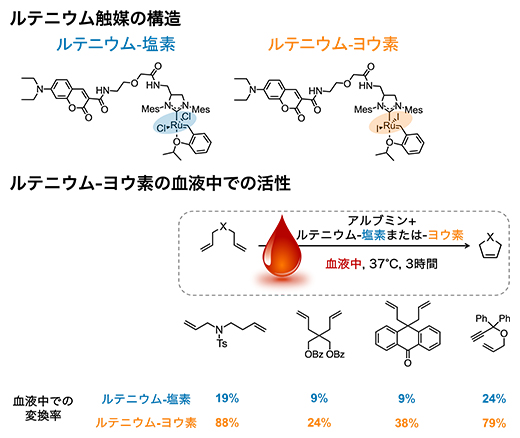 ルテニウム-ヨウ素の構造と触媒活性の図