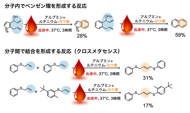 血液中でルテニウム-ヨウ素が触媒する反応の図