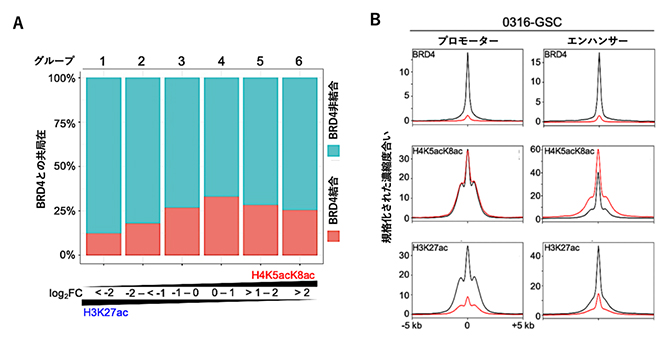 膠芽腫幹細胞株におけるH4K5acK8acとBRD4の共局在と結合阻害剤の影響の図
