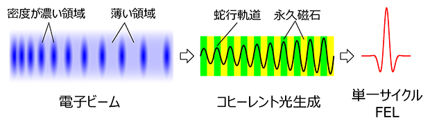光スリッページの制御と単一サイクルFELを可能とする基本原理の図