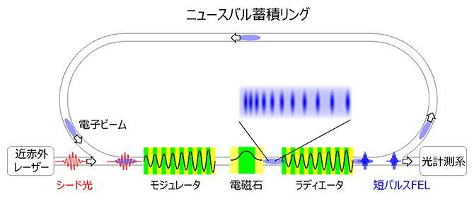 実証実験のレイアウトの図