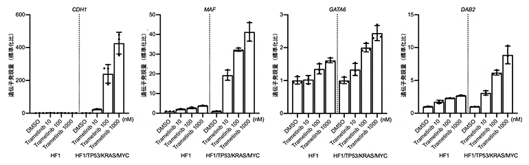 MEK阻害剤を投与した発がんモデル細胞の遺伝子発現量解析の図