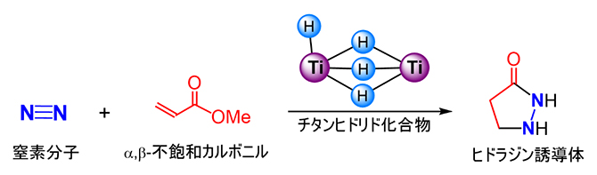 チタンヒドリド化合物による窒素分子とα,β-不飽和カルボニルからのヒドラジン誘導体の合成の図